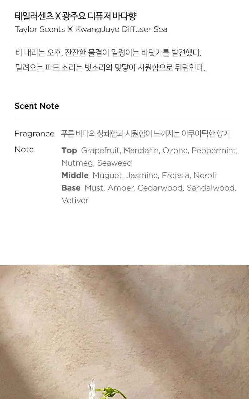 [올리브영 단독 패키지] 테일러센츠 x 광주요 매병 디퓨저 200ml 4종 택1 상세페이지 12